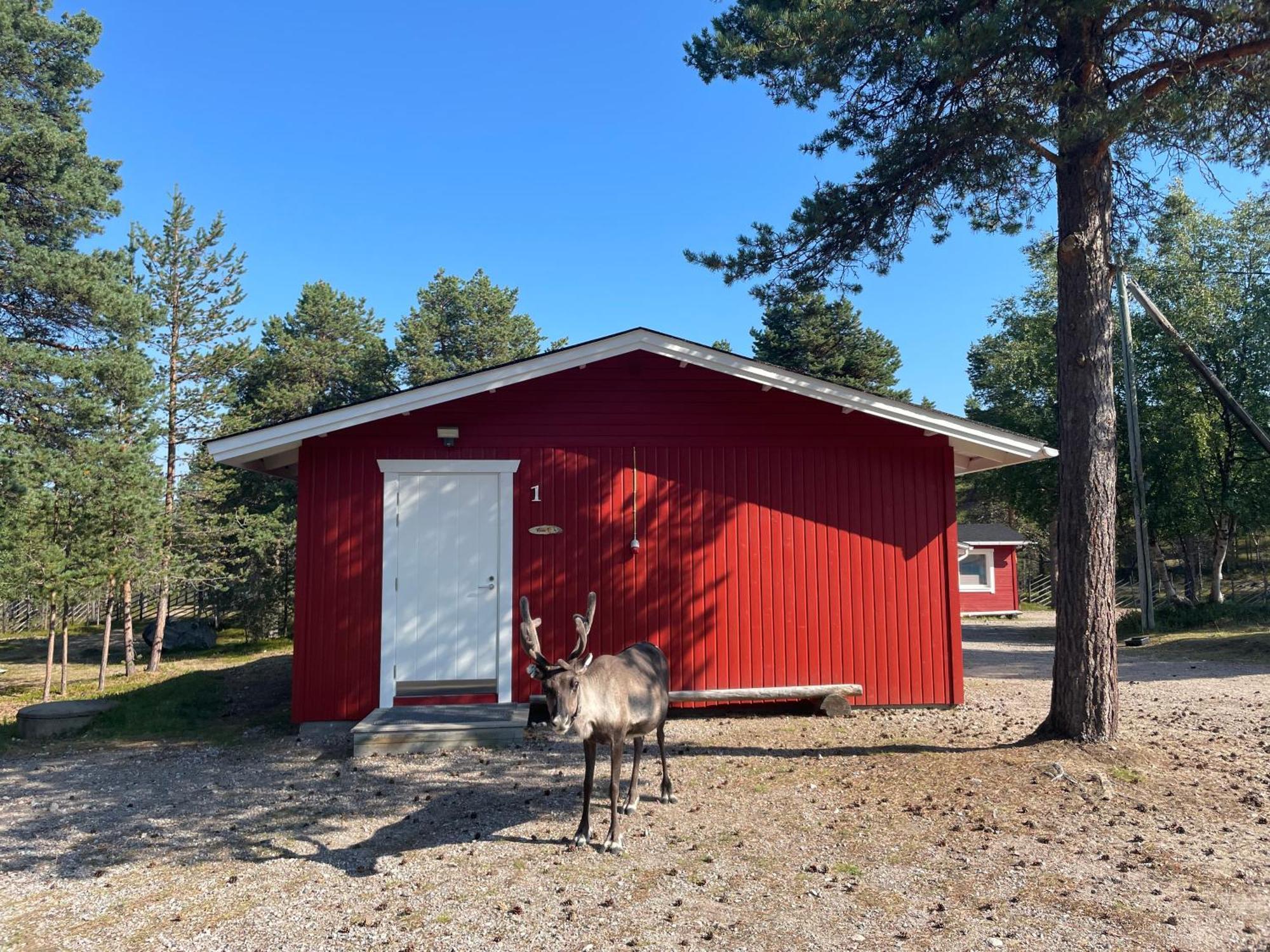 Porotila Toini Sanila Lomakylät Sevettijärvi